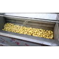 Small capacity Automic Vegetable peeling machine